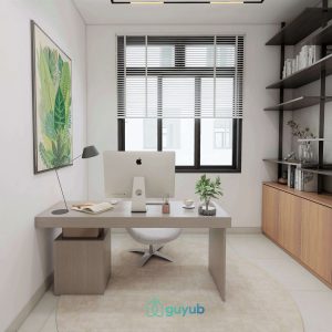 Home Office 1