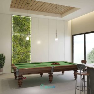 Snooker 1